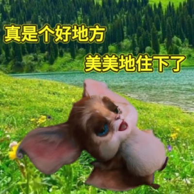 韩立洞府主理鼠表情包来袭 萌趣又上头