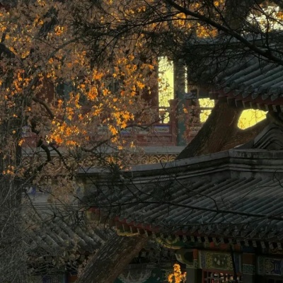 超好听的古风五字微信ID 诗意拉满超有韵味