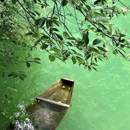 绿色控集合 超养眼的绿色图片大赏来咯