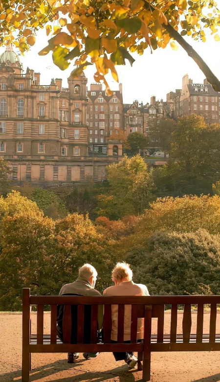 2025秋天氛围感壁纸 让屏幕满是秋日温柔感