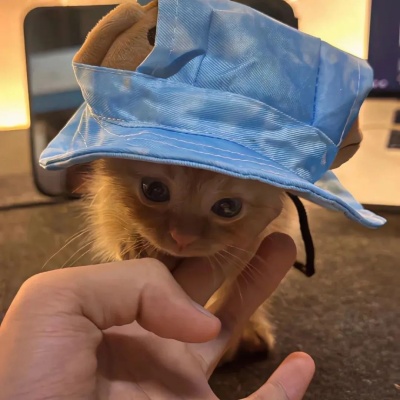 适合秋天的女生网名 满是秋日温柔超戳心