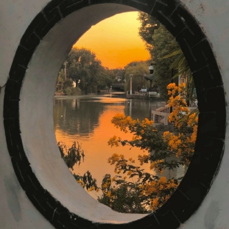 秋日氛围感拉满 绝美背景图带你邂逅浪漫季节