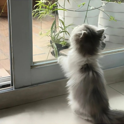 简短有力量的人生金句 每句都戳中内心