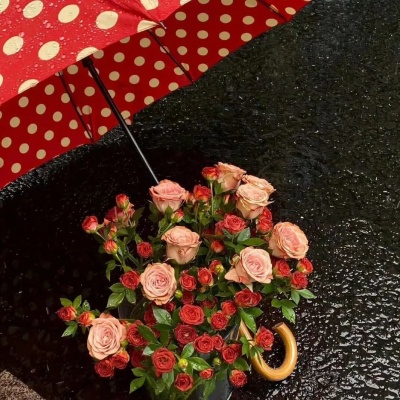 天蝎座微信个签分享 神秘又带刺的浪漫