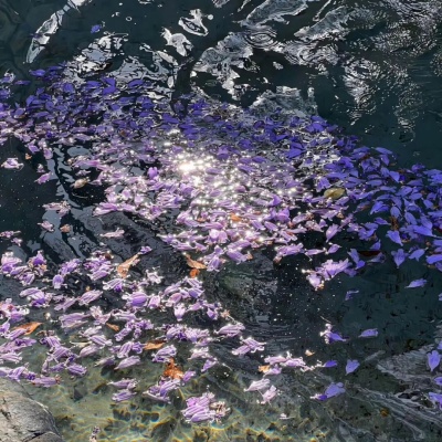 生僻字网名图鉴 藏在冷门汉字里的浪漫