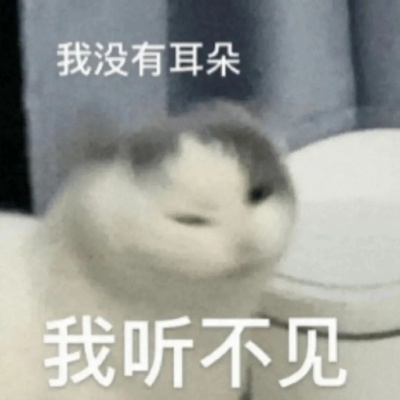 摸鱼表情包 打工人の赛博防窥膜