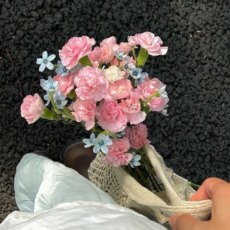 浪漫系生活图鉴 每一张都藏着温柔与美好