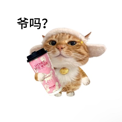 奶茶小猫表情包 甜度超标の治愈攻击