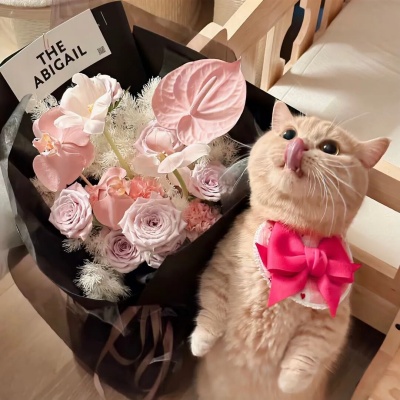 文艺女青年专属微信签名 藏着温柔与诗意的短句