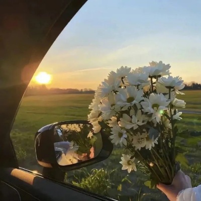 藏着诗意的小众心动网名 每款都戳中浪漫感