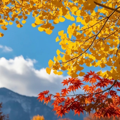 2025秋分朋友圈文案合集 把秋日浪漫说给风听