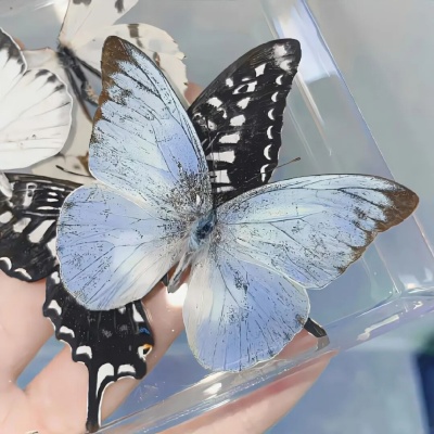 网友精选微信签名分享 当代互联网嘴替合集