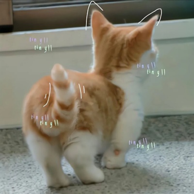 2025万里挑一微信签名 一句封神的质感短句