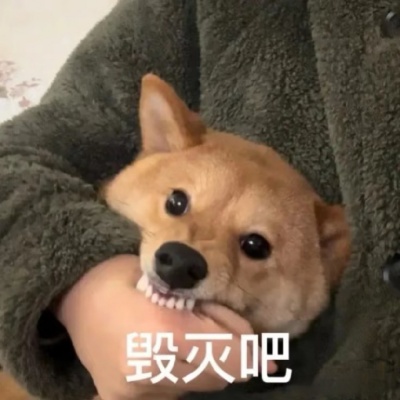 奇奇怪怪动物表情包 自带魔性笑点