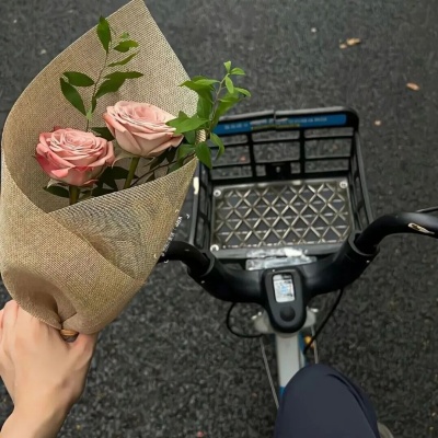 梦幻类ins昵称 适配社交账号的浪漫感表达