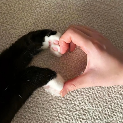 成熟稳重有内涵 适配日常的微信签名精选