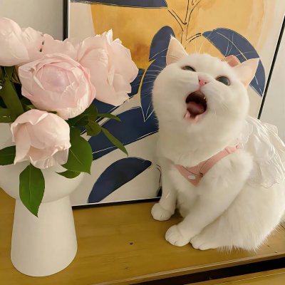 可爱吸粉个性签名合集 软萌又讨喜轻松圈好感