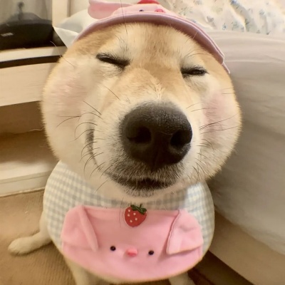 万能无字表情包合集 不用打字也能精准传情绪