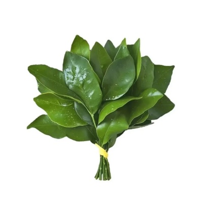 赵露思用过的头像合集 清甜与质感并存的本命头像