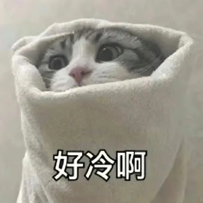 天冷专属表情包合集！冷到发抖的快乐全靠它救场