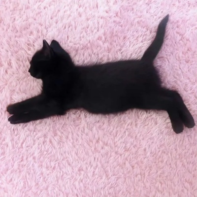 随心所欲无风格微信签名短句 怎么舒服怎么来超自在