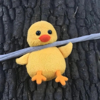 过目难忘的 “大病” 签名合集 自带记忆点的个性表达天花板