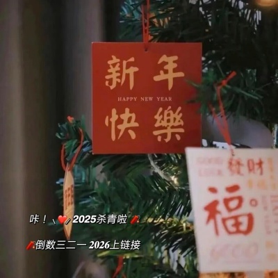 2026元旦高级感朋友圈文案 岁首启新章小众走心短句