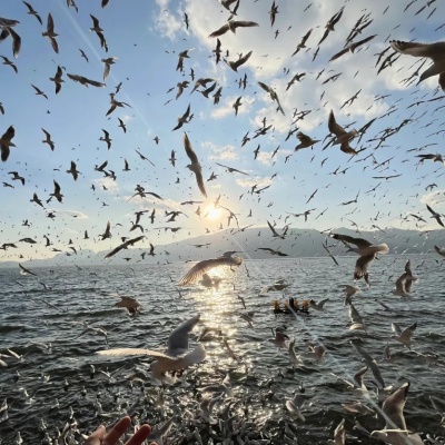 朋友圈文案 旅游文案（emoji.歌词）_1_Kkk_来自小红书网页版.jpg