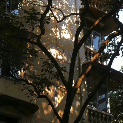 1753065015222721.jpg 640 (3).jpg