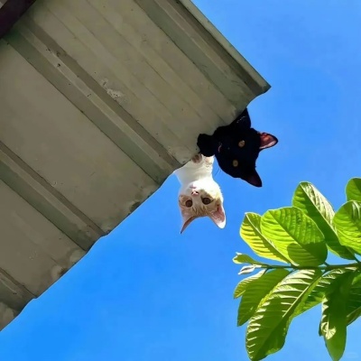 1753671465775438.jpg 640 (4).jpg