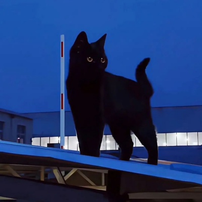 1753671472663192.jpg 640 (5).jpg