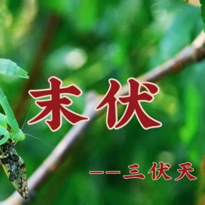 1754105226394292.png 640 (1).png