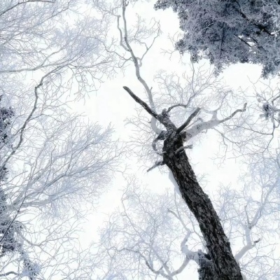 1755573333235306.jpg 640 (4).jpg