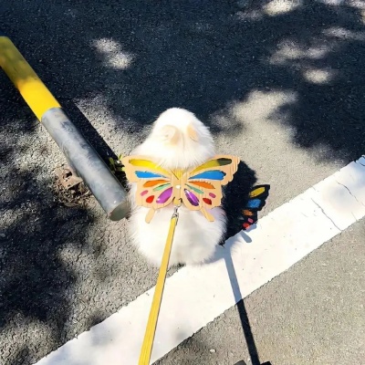 1756107838988855.jpg 640 (7).jpg