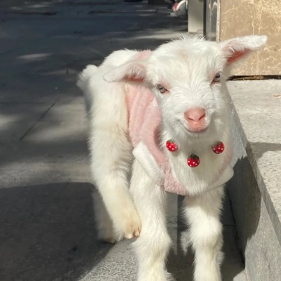 1756177277369979.jpg 640 (2).jpg