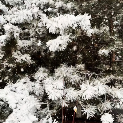 1756178056536958.jpg 640 (9).jpg