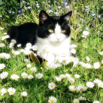 1756189799587938.jpg 640 (11).jpg