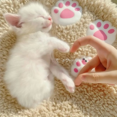 1756361251498007.jpg 3.jpg