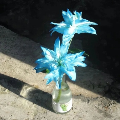 1757408460352806.jpg 7.jpg