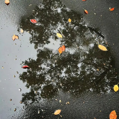 1761011981170649.jpg 640 (1).jpg