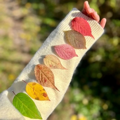 1761529474737991.jpg 640.jpg