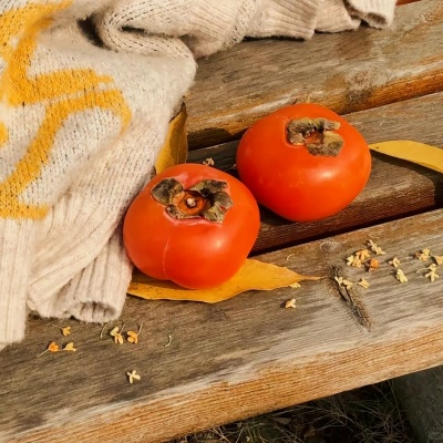 1761529482438779.jpg 640 (1).jpg